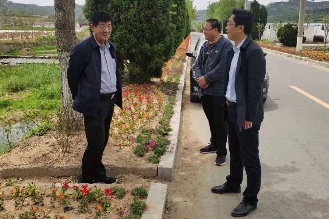 黄墩镇:提升绿化水平 让美丽看得见