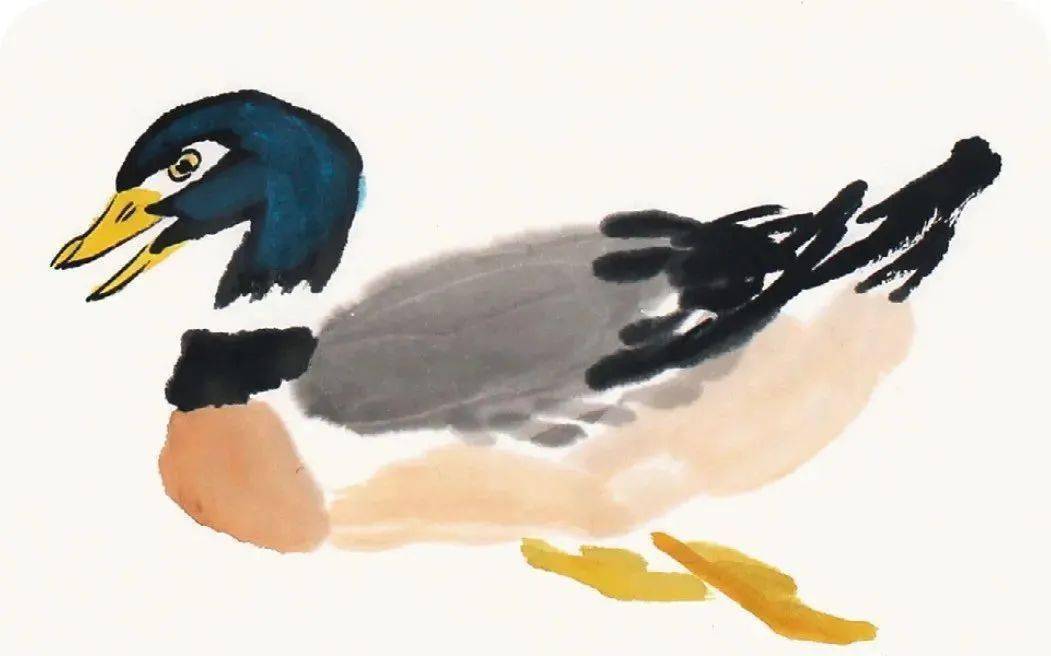 写意鸭详细画法干货收藏了