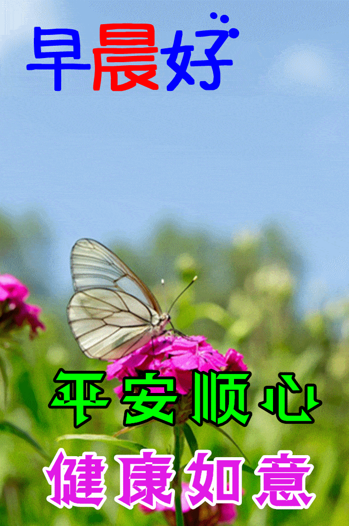 680_1024竖版 竖屏gif 动态图 动图