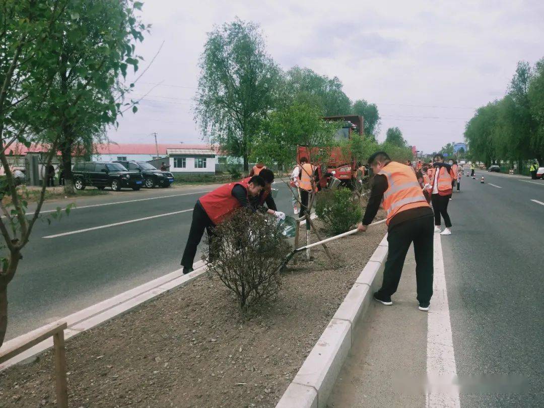 袛有此花知旧意又随风色过东墙寓意 自媒体热点