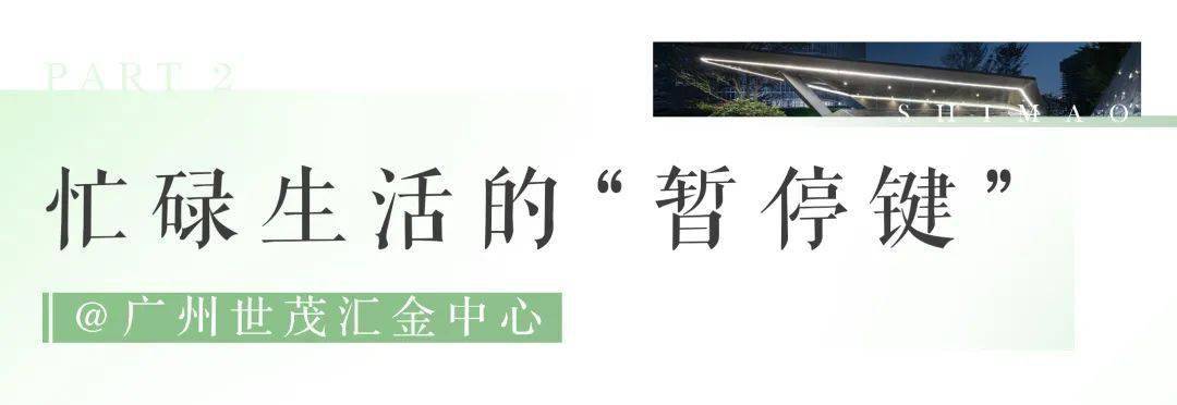 文章配图-11