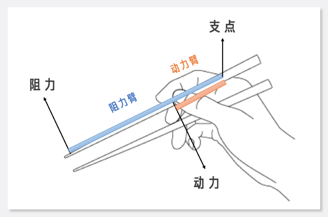 筷子的杠杆原理示意图图片
