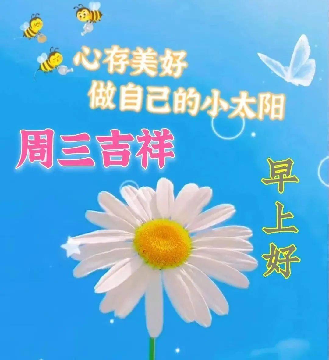 初夏清晨早上好問候語動態表情圖片最美的早上好問候祝福語發朋友