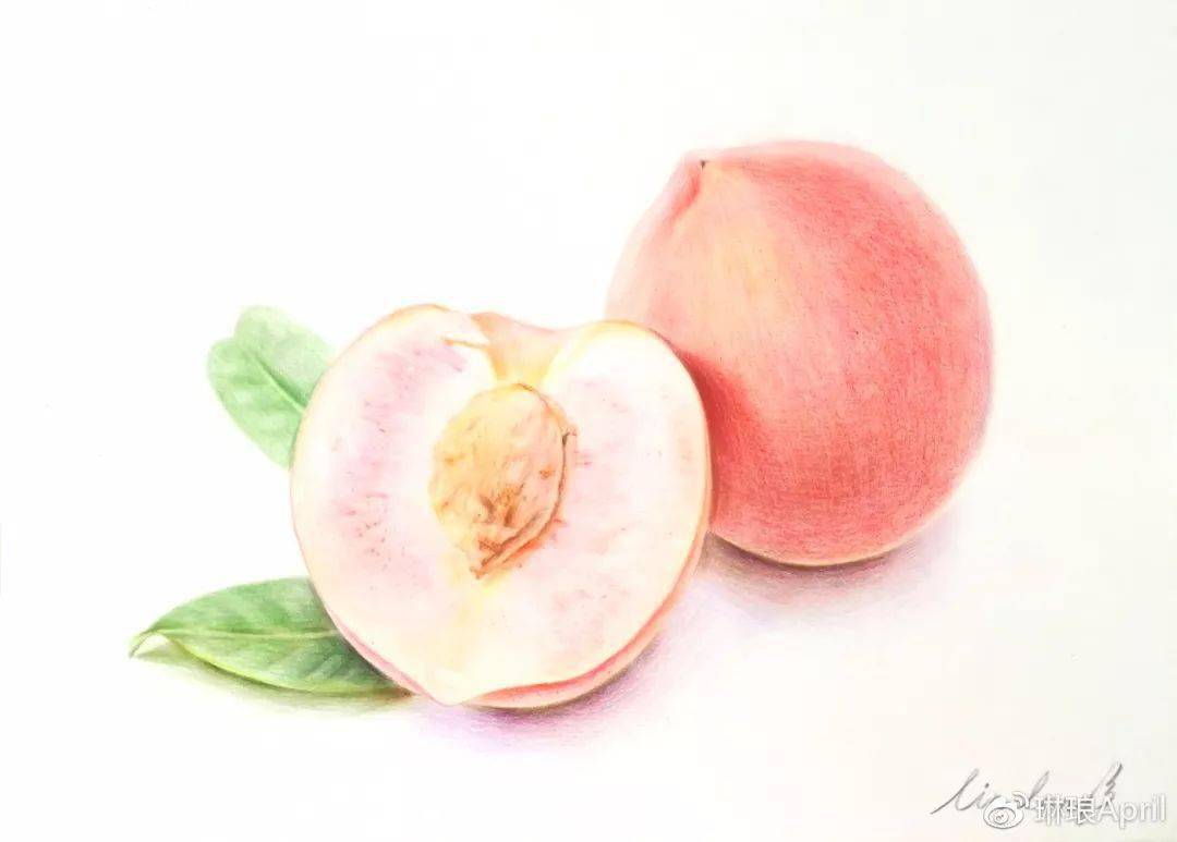 彩铅桃子怎么画零基础教你画粉嫩可口的桃子