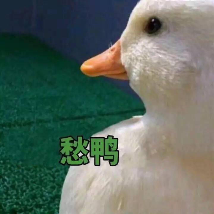 c39b01c1b75841d1ab139490f57ded0d.jpeg
