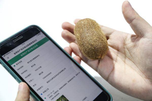 机器人|创新科技闪耀数博会