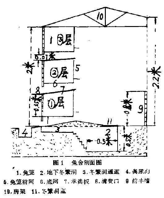 一种经济实用的种兔舍