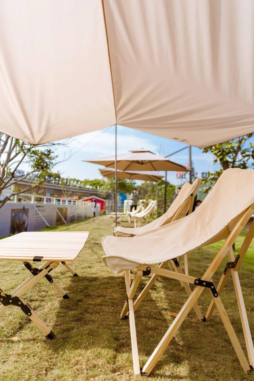 文末有福利温州市区首家城市青少年马术俱乐部户外场地开业