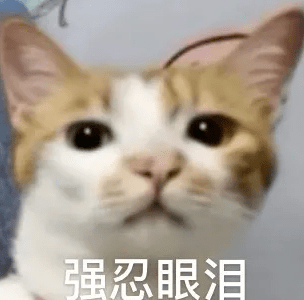 啥也不是文字图片表情包 455f8745357242fdb2a0a6d14c3d80b3.png