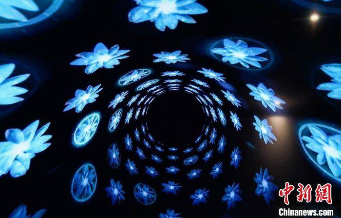 传统|“赛博涌现——NFT加密艺术展”呈现古典与现代的碰撞