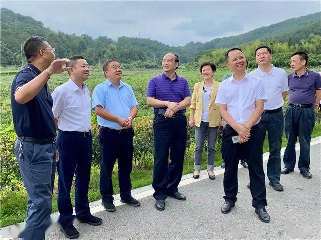 石建平书记赴三明调研乡村文化振兴工作