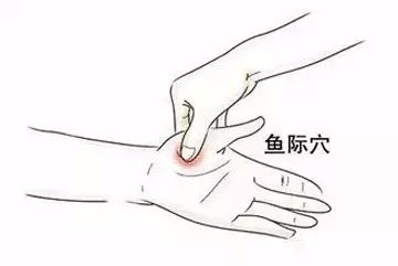 6e39fe2d1008468ab1c179b32965b906.png