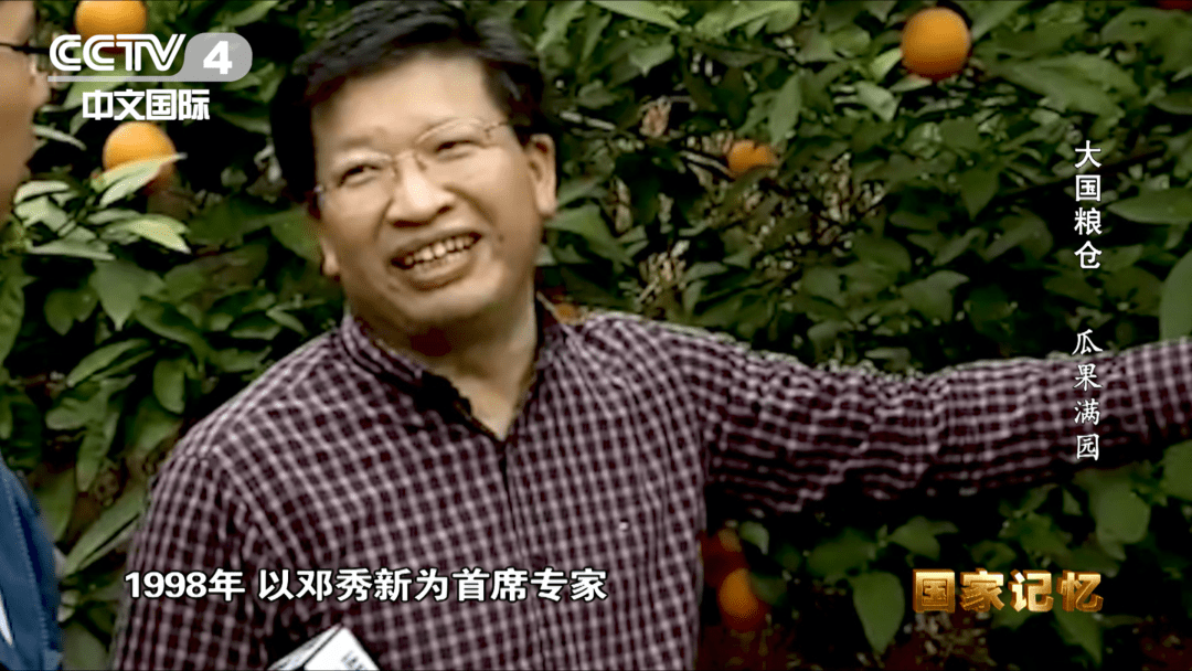 纪录片大国粮仓第九集瓜果满园