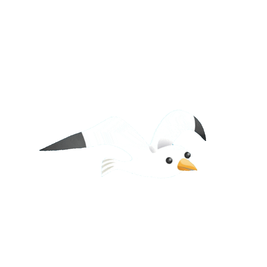 1080_1080gif 动态图 动图