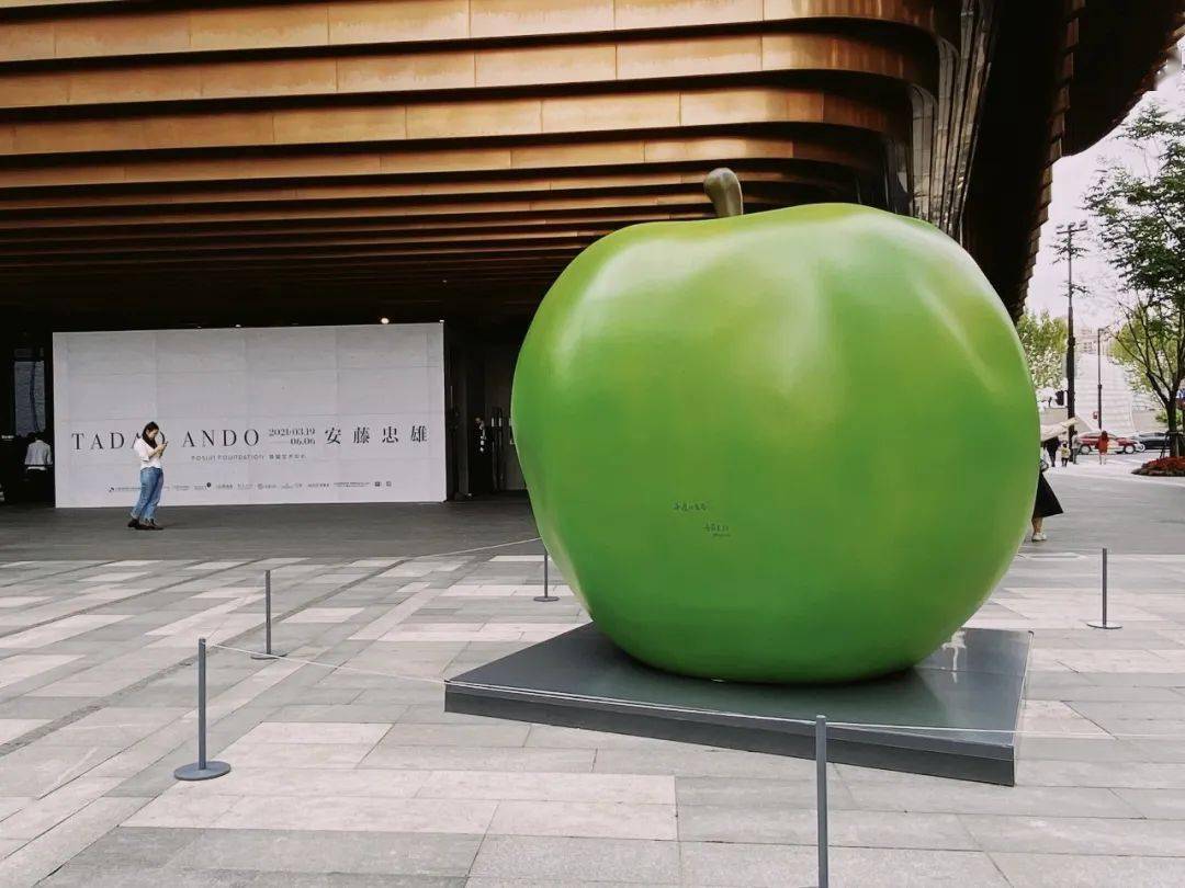 看展测评丨热度居高不下的安藤忠雄展一场永不停歇的挑战