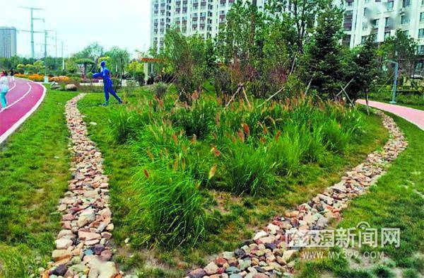 现状 多数草坪树池 未下沉 下沉式绿地,简单理解就是一种最高处涤于