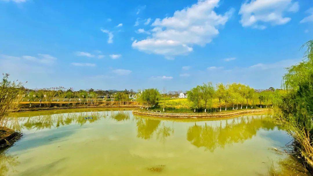 錦繡田園△果海酒村講真,南充近年來打造溼地公園與水文化,打造太色