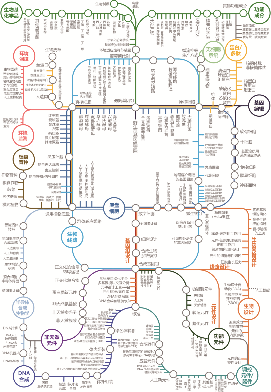合成生物学技术的知识图谱