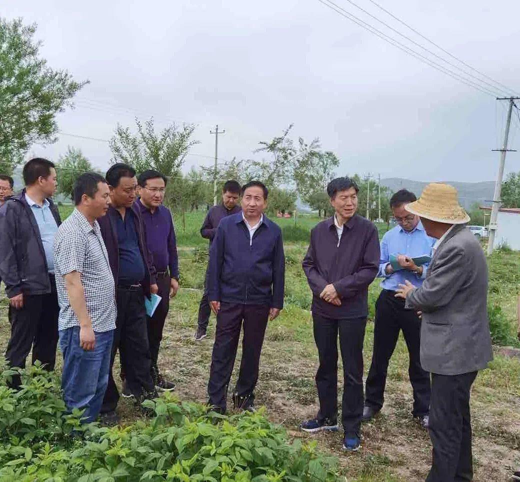 省农业农村厅调研组来临夏县调研督导农业农村重点工作