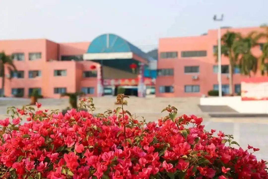 广州市第六中学,广大附中英豪学校,学府林立,已经形成完备的教育链条.