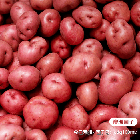 澳洲超市彩色土豆大全这些奇葩颜色到底怎么吃