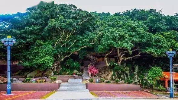 67绿盈乡村漳州市东山县陈城镇澳角村推动生态渔业与乡村旅游有机