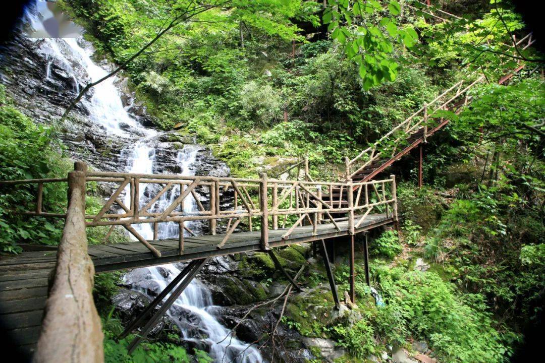 登营盘山顶赏海棠花开网友活动作品展播一