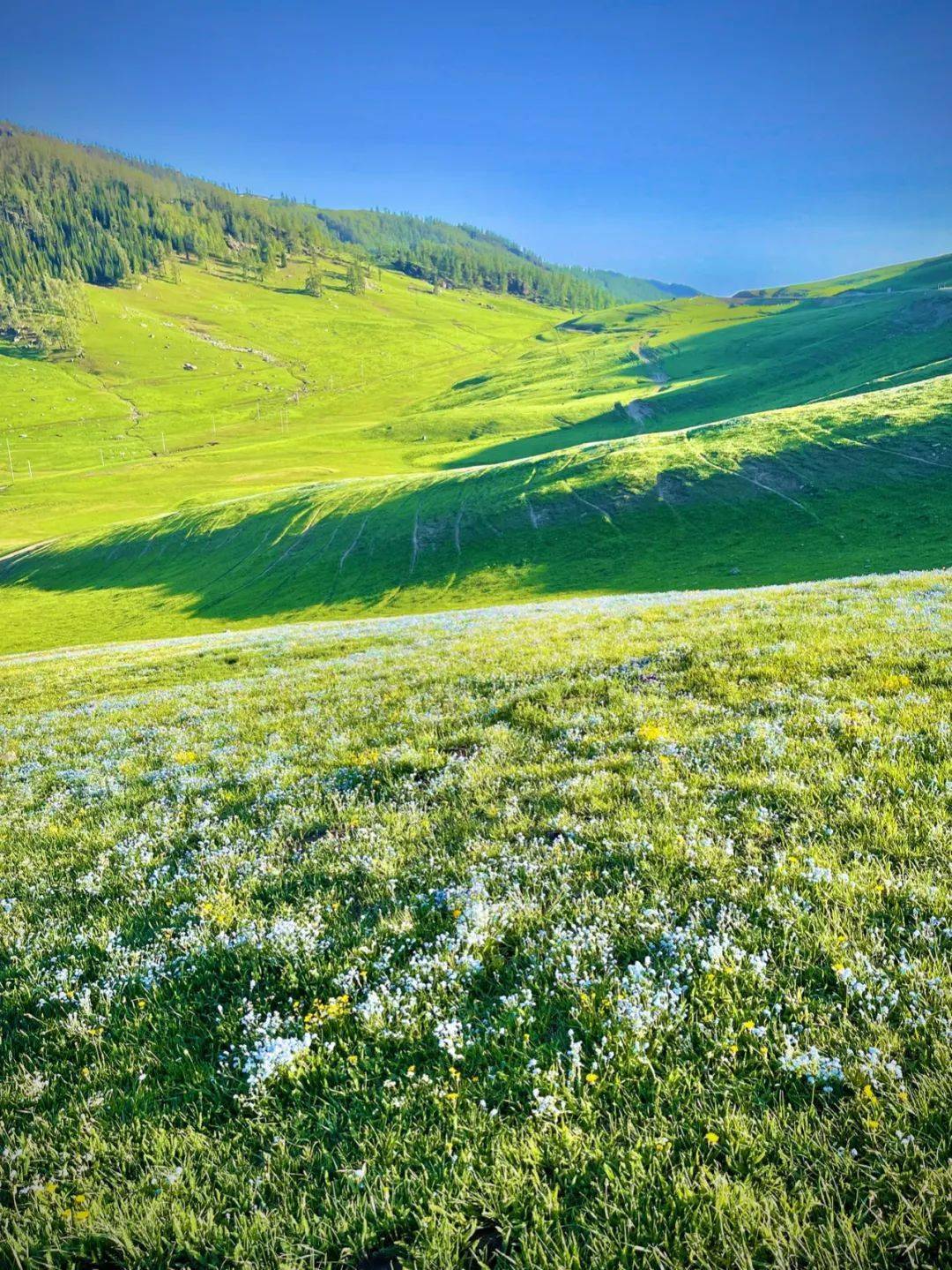 宅在大理旅行篇天空草原