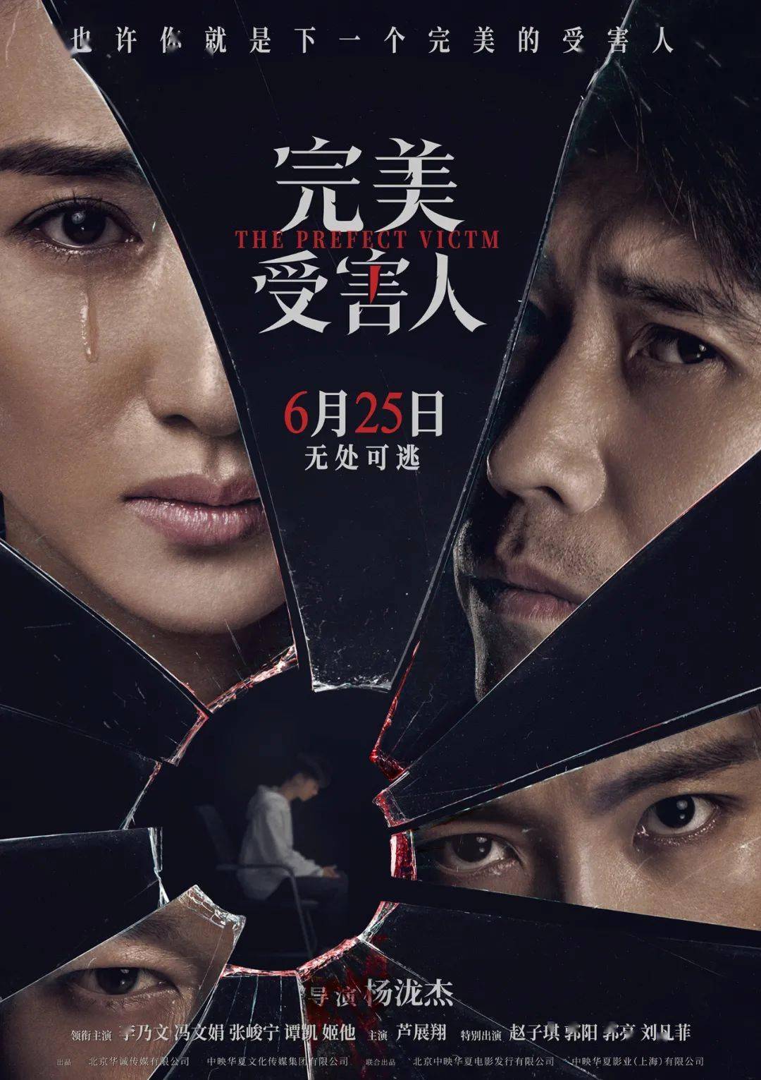 悬疑犯罪电影《完美受害人》定档，聚焦家庭暴力题材_搜狐网