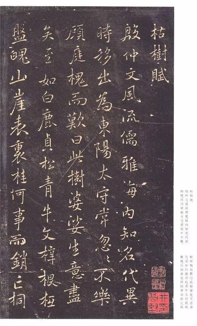 褚遂良《枯树赋》：如美女婵娟，不胜罗绮之态_搜狐网