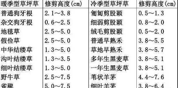 文章配图-3