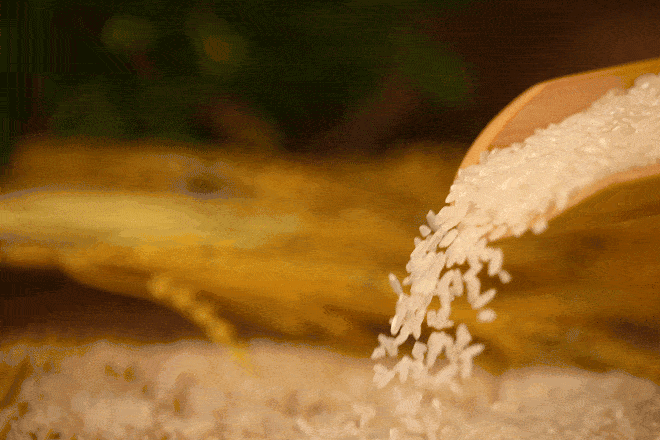 549d11ef2a784a1899060ef536f286b8.gif