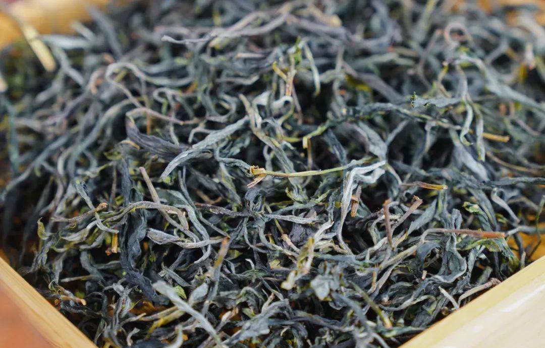 "昔归茶的生态特征