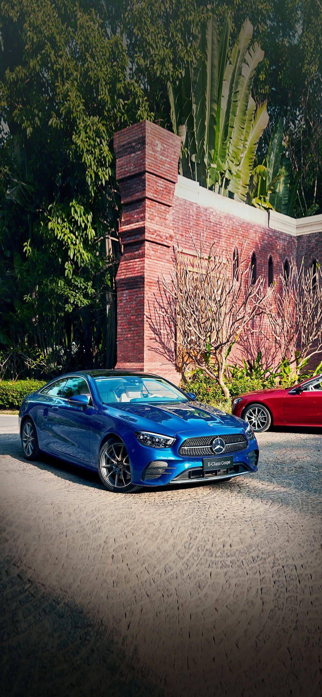 1080_2339竖版 竖屏