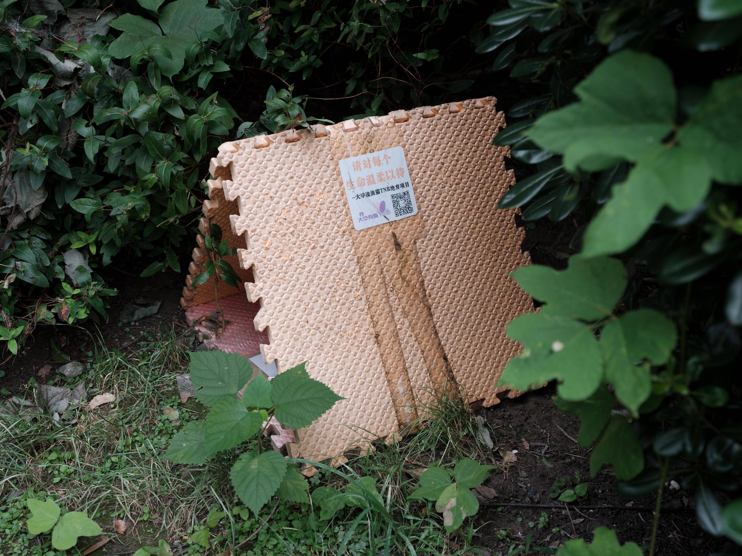 设想|青年沙龙｜数字未来社区，怎么设想，如何实践（下）