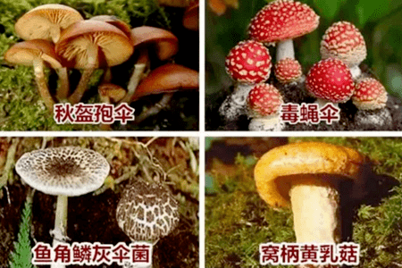 a03e2dec4f904e9aab791898fbe6cd63.png
