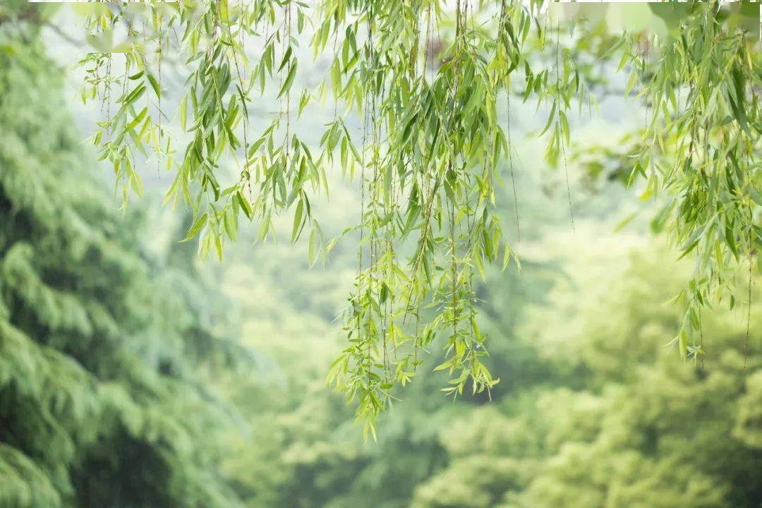 50首唯美宋诗,不输唐诗宋词!