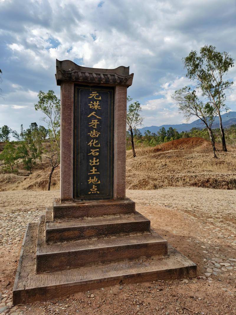 "在元谋县元谋人博物馆化石标本展示区,该馆负责人段梅手指两颗元谋人