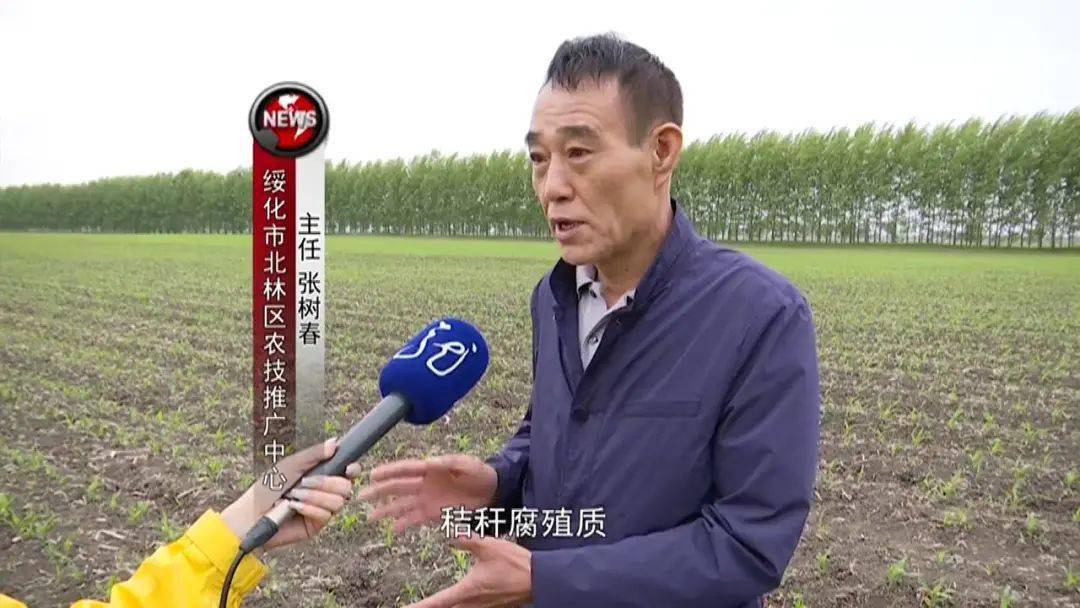 "耕地中的大熊猫" 黑龙江这样保护↘