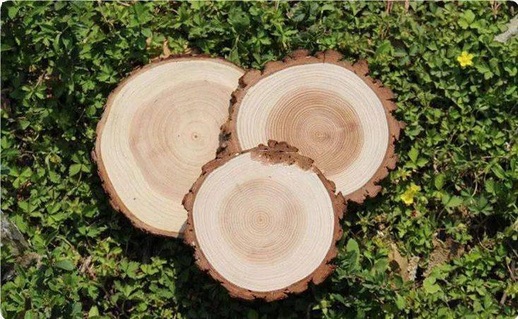 一周木材市场 #1971张家港阔叶材原木库存及走货情况较稳最新数据显示