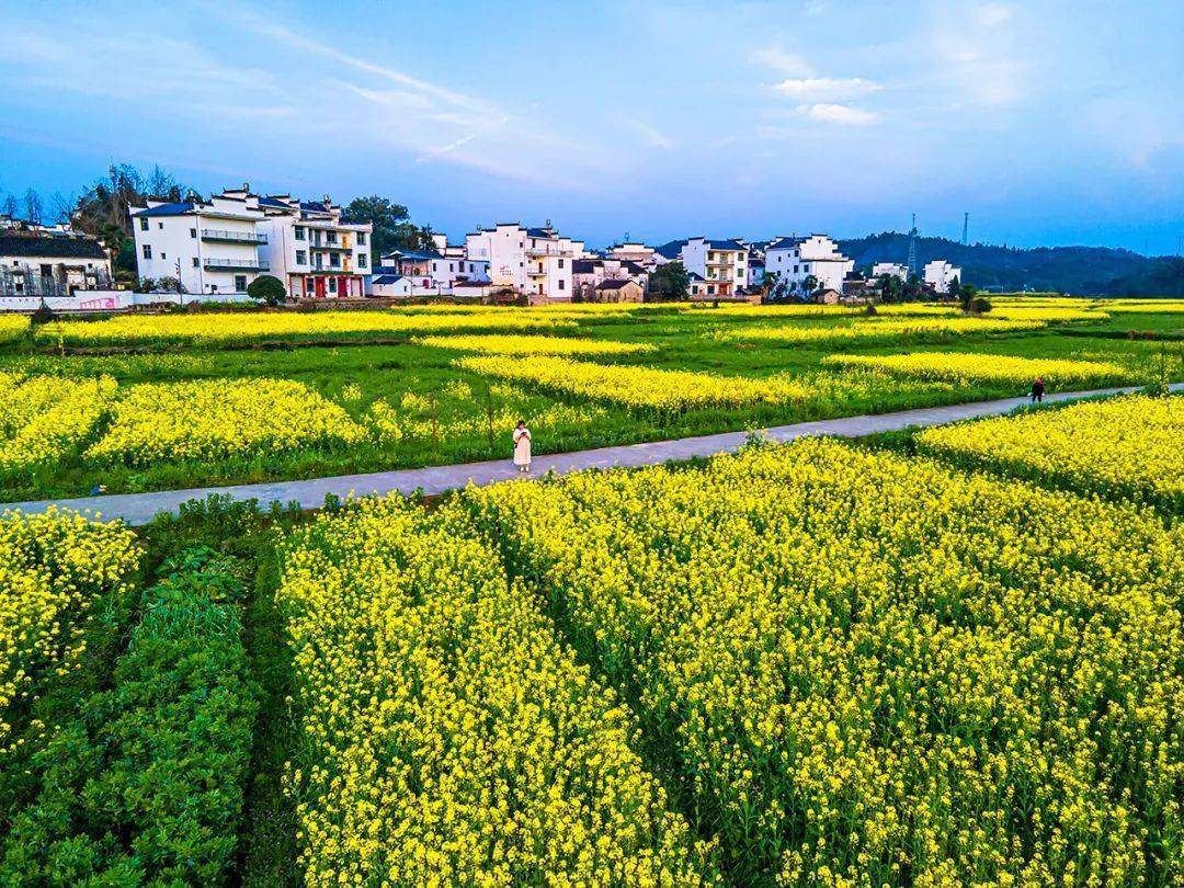 婺源县巡检司村乡村振兴的实践