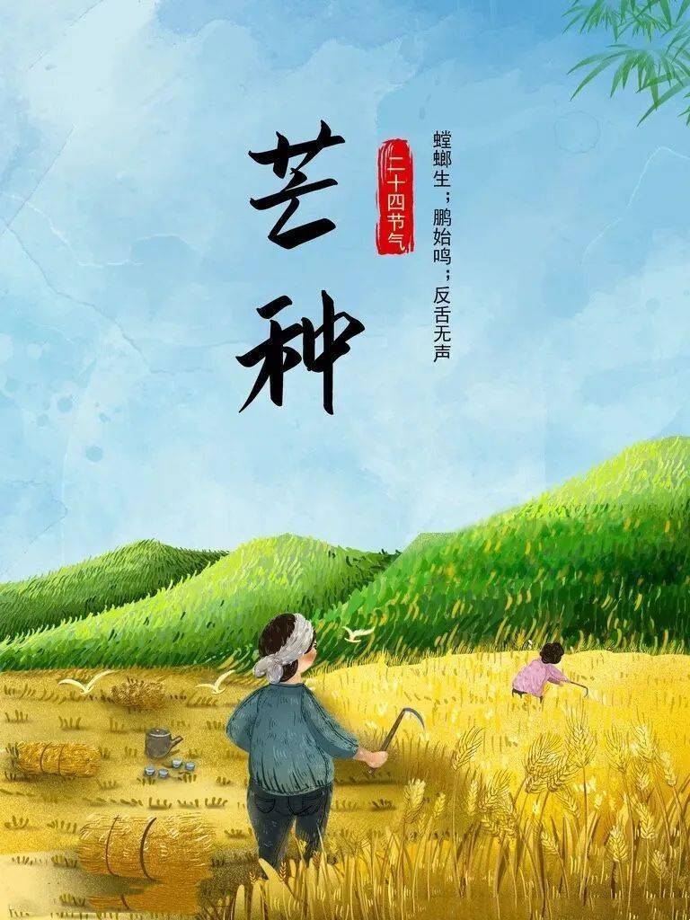 二十四节气之约 · 芒种