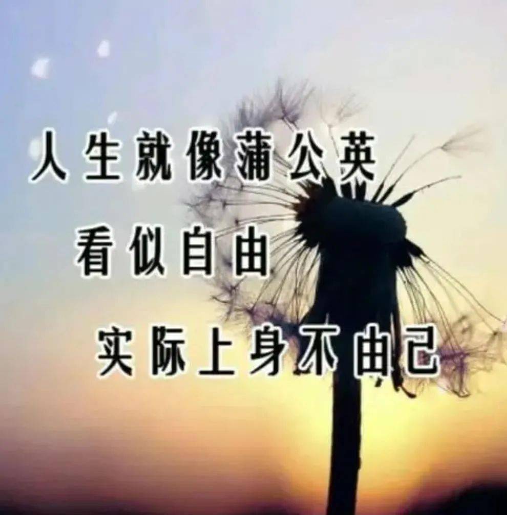 写给心累的自己句句触动心灵扎心现实