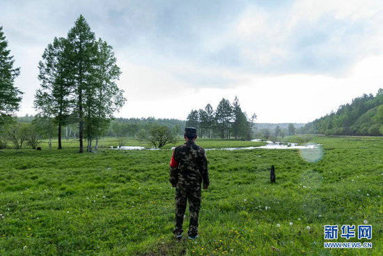 我以青春护林海——走近小兴安岭深处的护林员