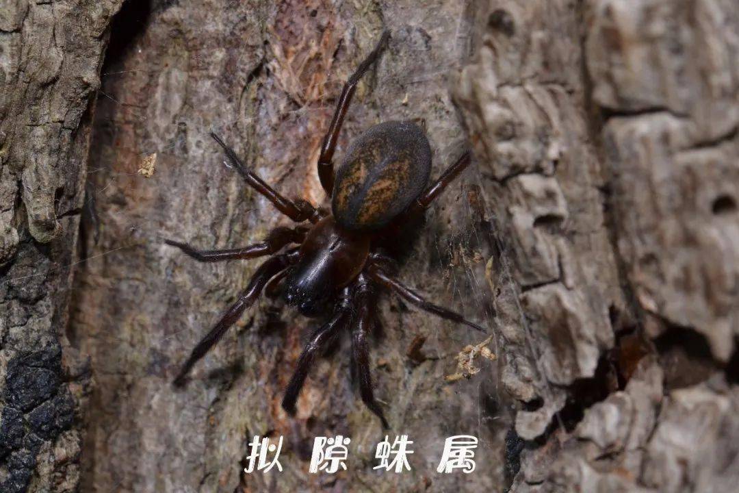 带你悄悄认识华理不为人知的成员下