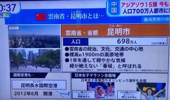 进击的巨象 云南北迁野象群红到了日本 大象