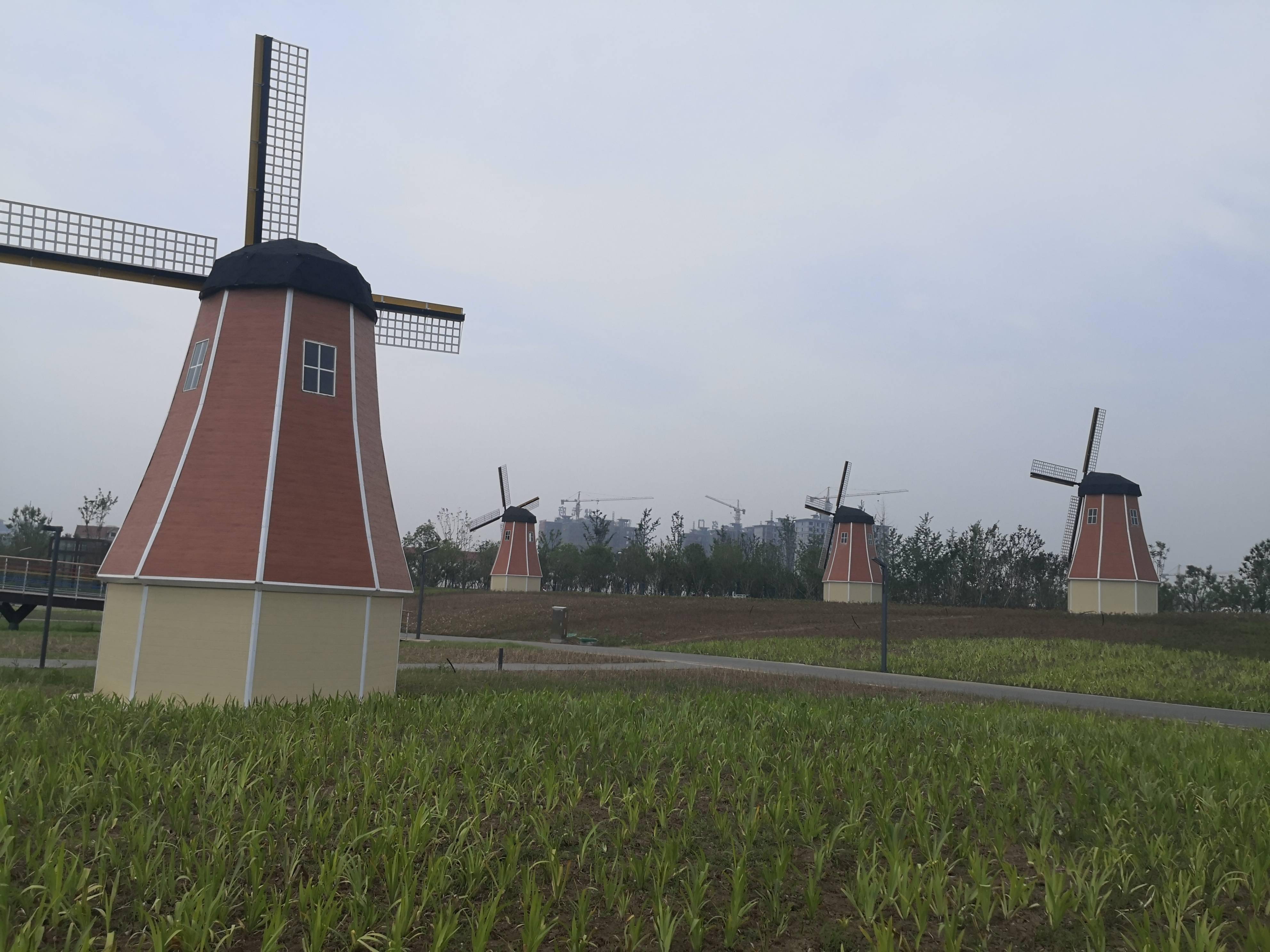 「图集」正阳植物园,人少景美