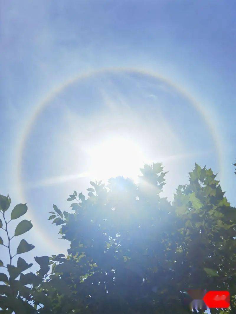 绍兴人快抬头看天!