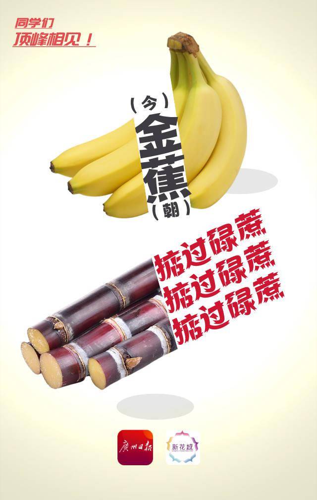 同学仔今朝掂过碌蔗