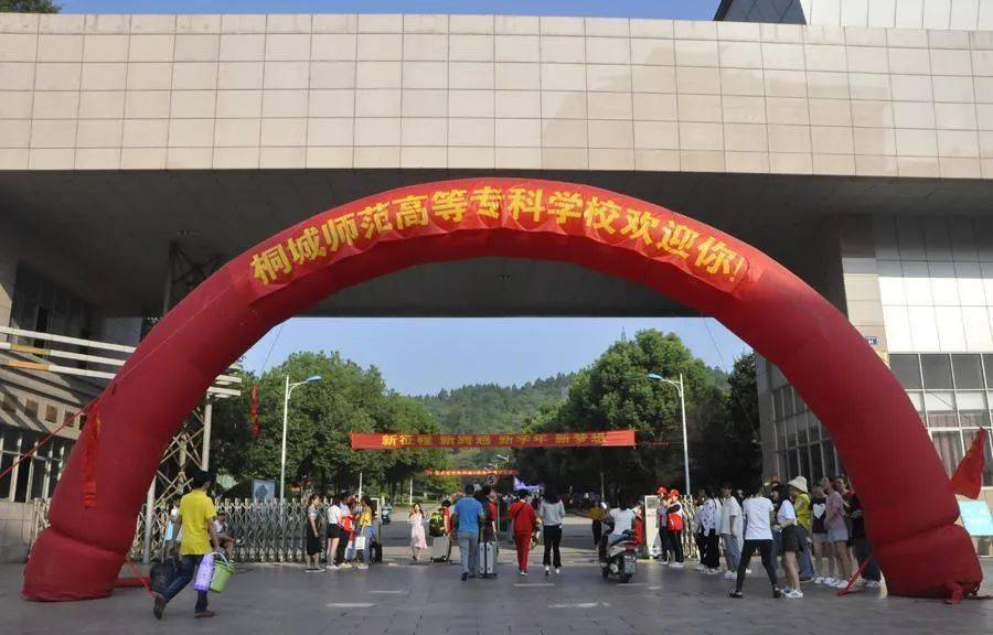 喜报桐城师范专升本录取人数历史新高